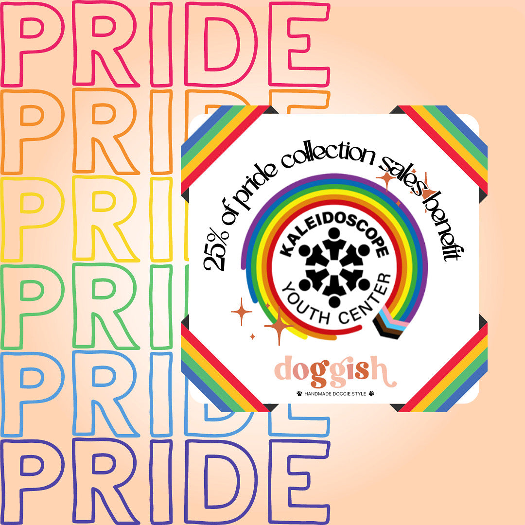 Love always wins PRIDE dog dress
