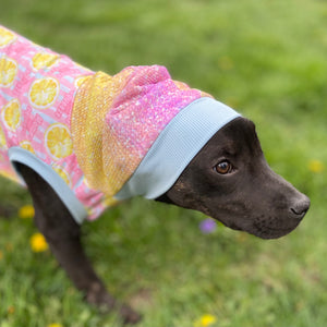 Mama’s main squeeze hooded dog shirt