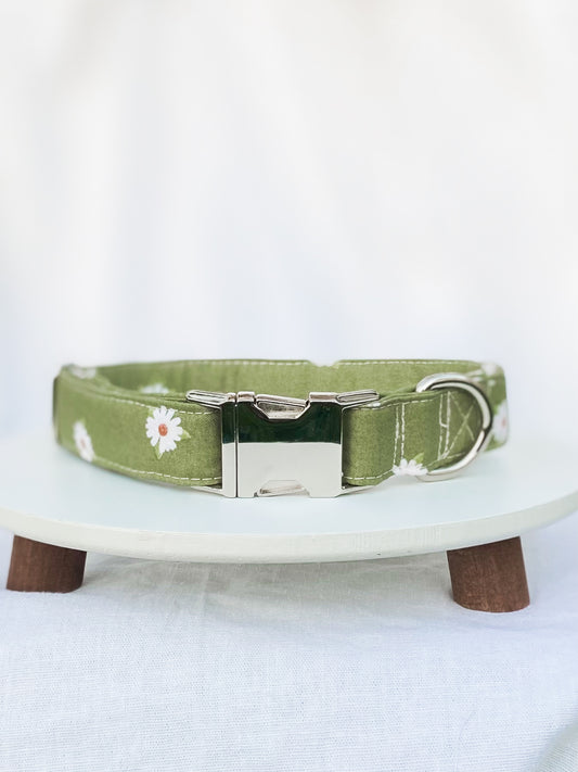 Boho green daisies dog collar with silver hardware