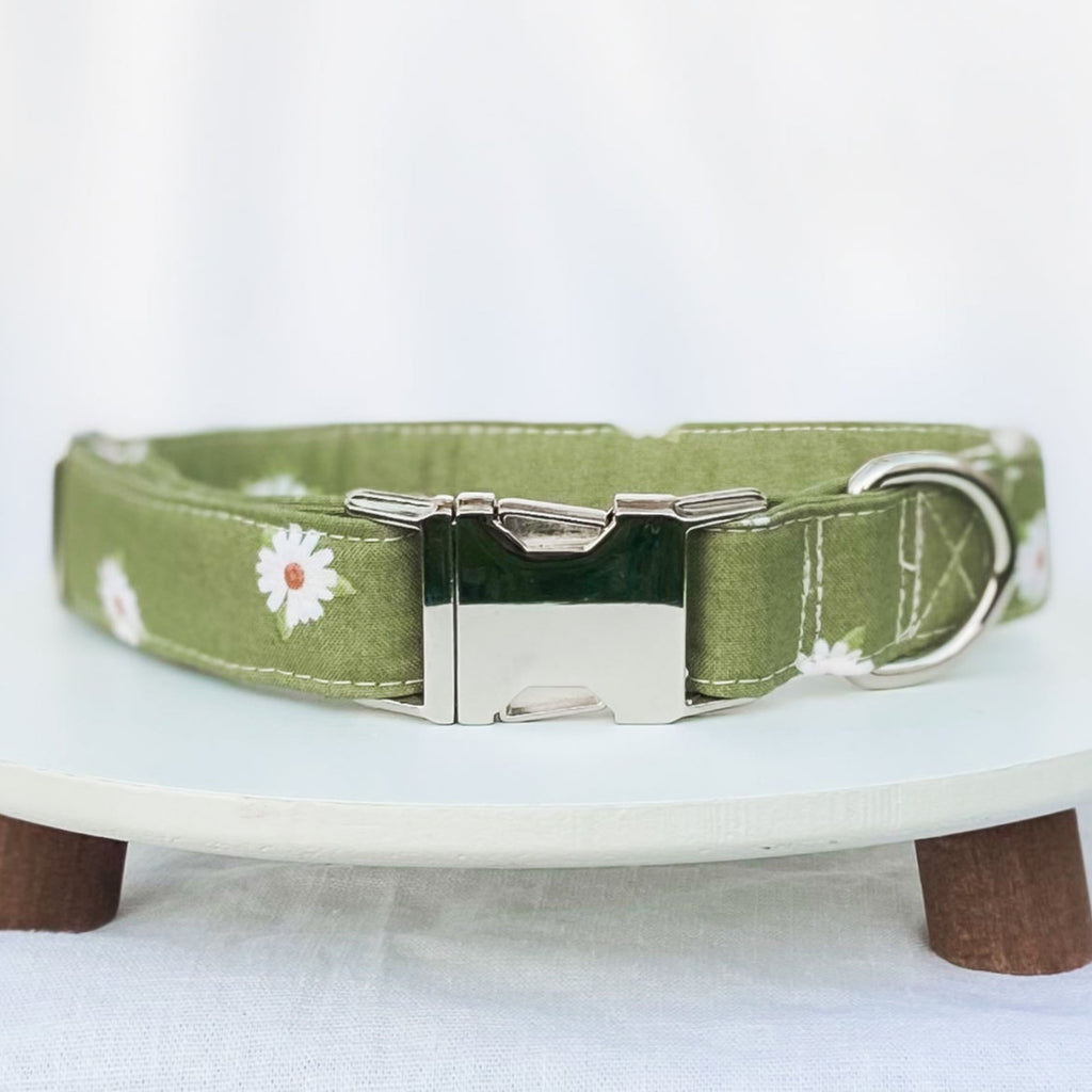 Boho green daisies dog collar with silver hardware