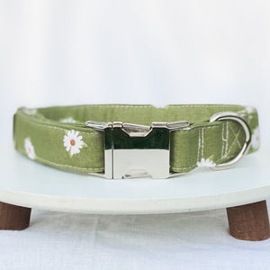 Boho green daisies dog collar with silver hardware