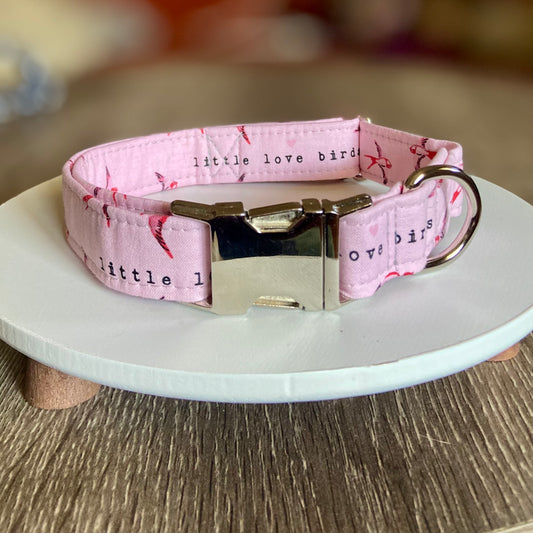 Love birds Valentine dog collar