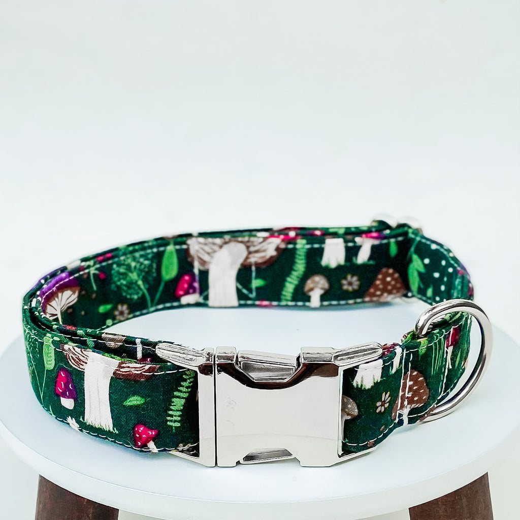 Foraging mushroom forest green fall dog collar with silver hardware