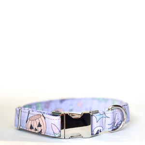 Too cute for spooks! dog collar with silver buckle