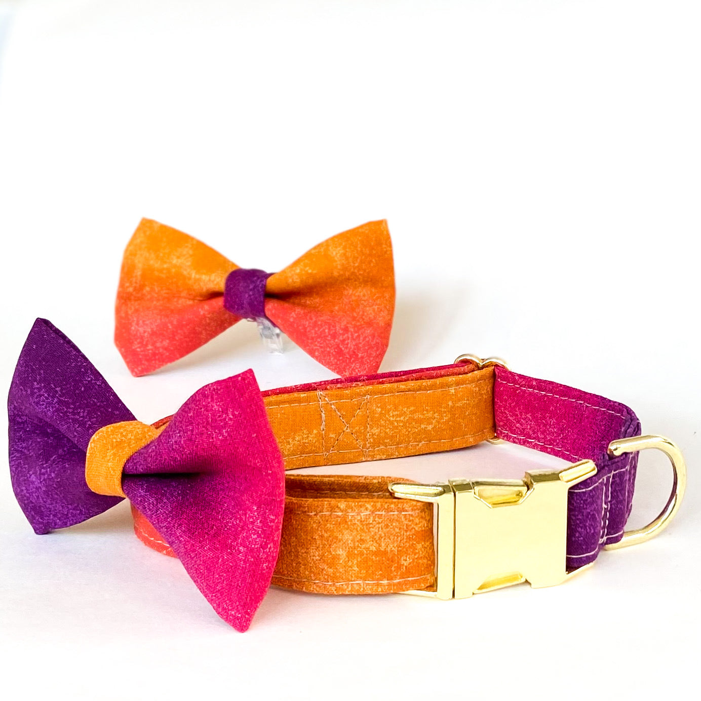 Berry and gold ombré dog collar with gold buckle