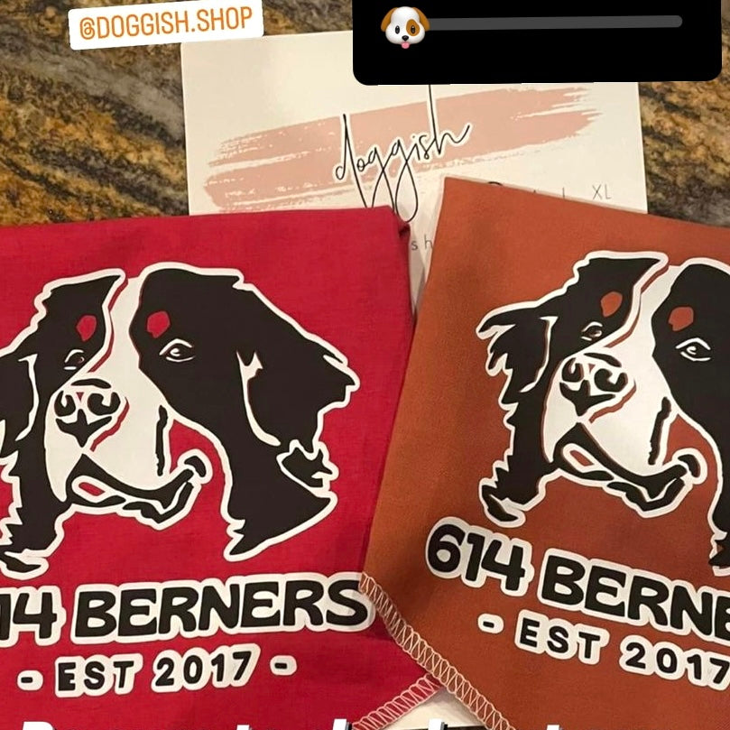 614 Berners group dog bandana