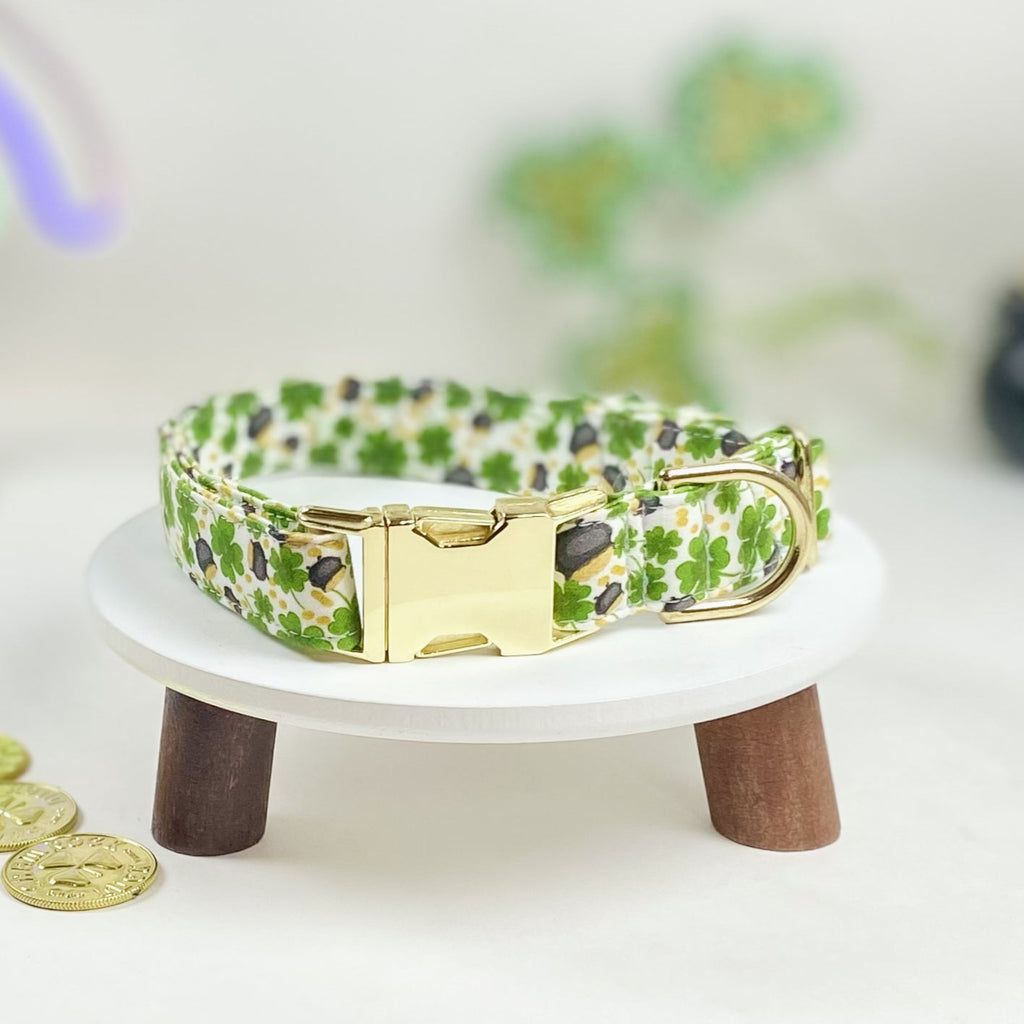 Clovers and coins St. Patricks day dog collar