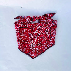Red kerchief dog bandana