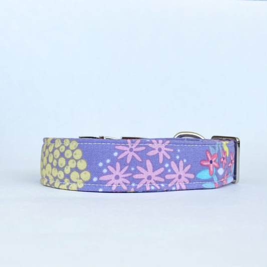 Wildflowers dusty purple dog collar with silver buckle